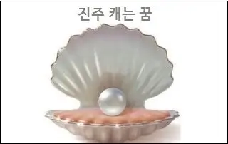 진주 캐는 꿈