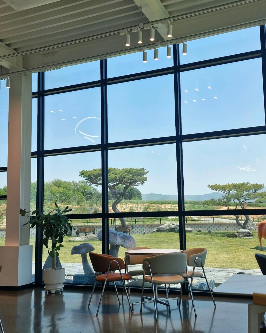 생생정보 미스터 Lee의 사진 한 컷 충남 서산 카페 힐링명소 서산목장카페 생생정보 2295회