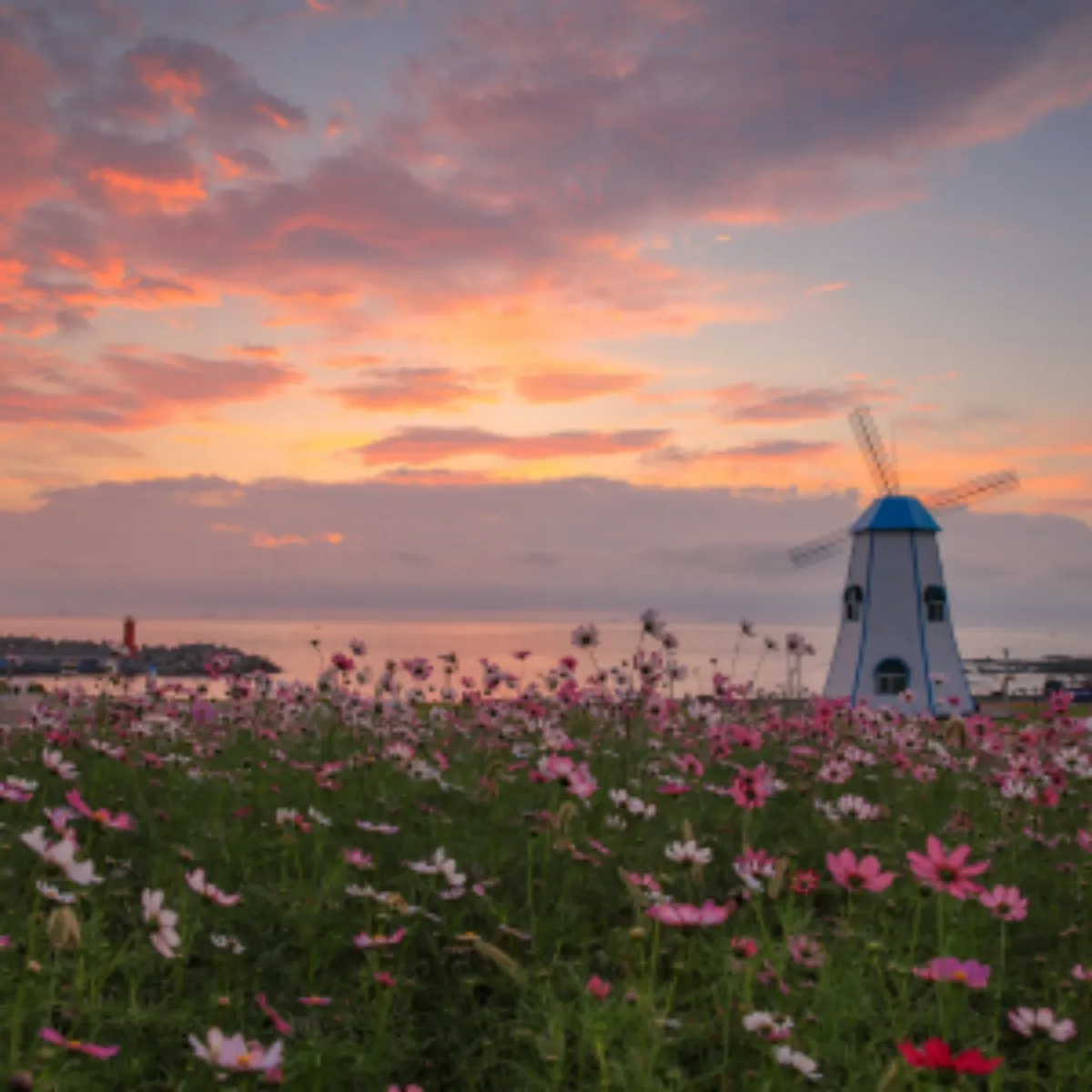 2025년 새해 일출 명소