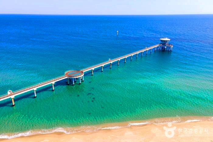 바다위로 길이 길게 나있다.