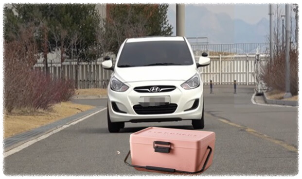 도로 위 장애물