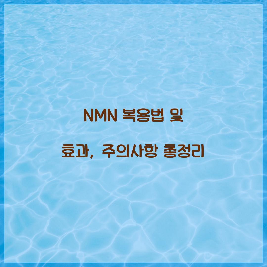 nmn 복용법