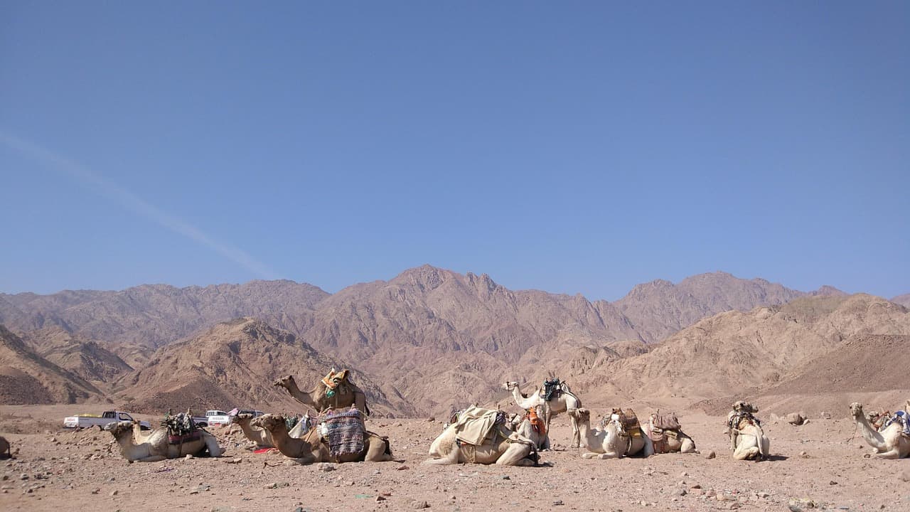 🌱 탈모 관리에 진짜 좋은 음식, 서리태 두유의 비밀