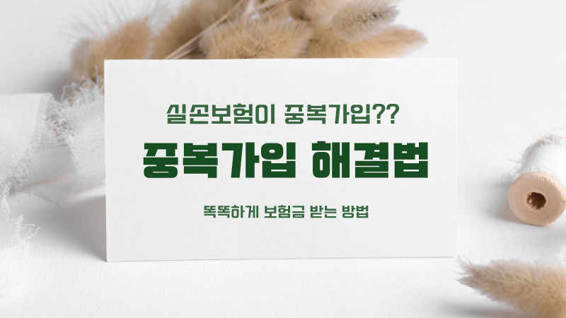실손보험 중복가입 해결법