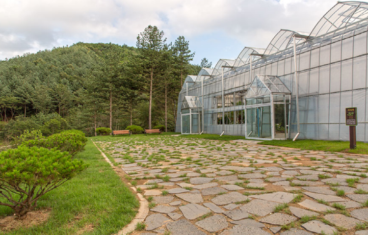 보령 무궁화수목원