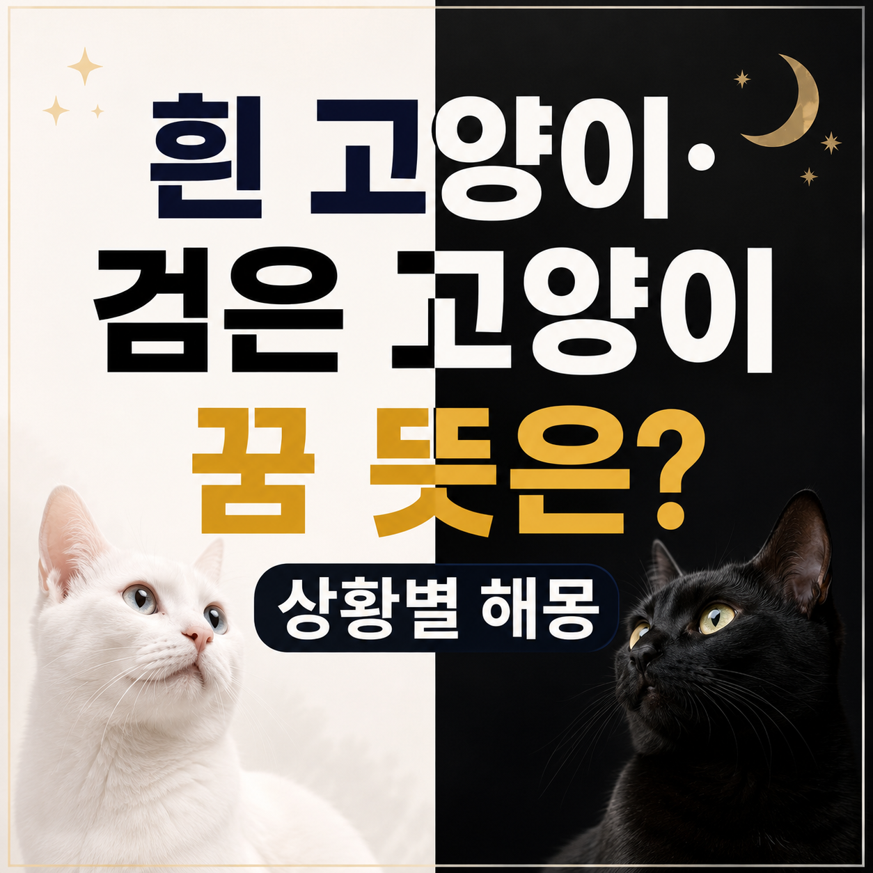 고양이 꿈