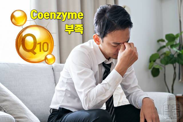 코엔자임q10 많은 음식 복용시간 흡수율