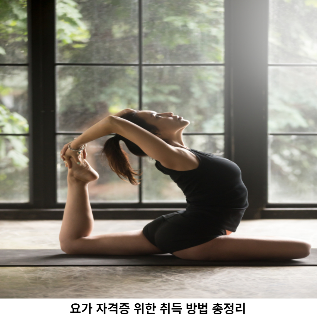 요가 란? 