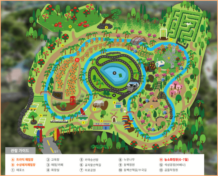 비체올린 관람 안내