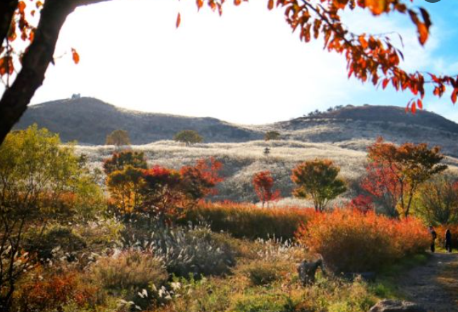 2025 가을 경상도 단풍 명소 산행 추천 ❘ 주왕산&middot;가야산&middot;팔공산 절정 시기