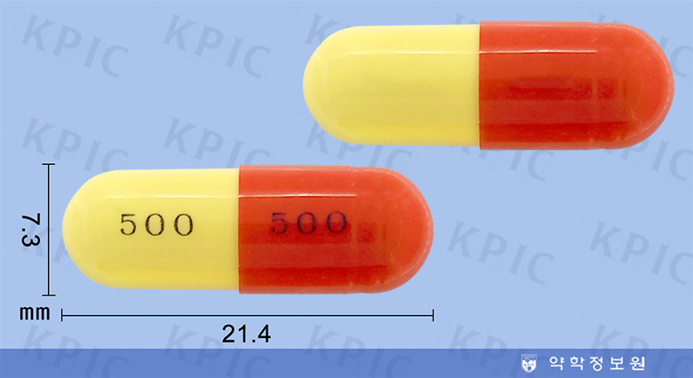 종근당 아목시실린 캡슐 500mg(Amoxicillin Cap. 500mg Pharma Chongkundang) - 페니실린계 항생제 
