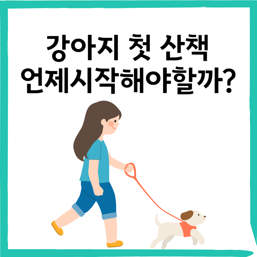강아지 산책 시작 시기 & 꿀팁 정리! 첫 산책, 제대로 준비하세요