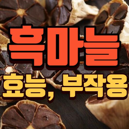 흑마늘효능-만드는방법-부작용