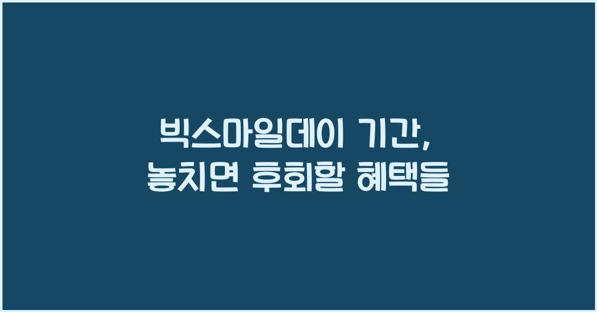 빅스마일데이 기간