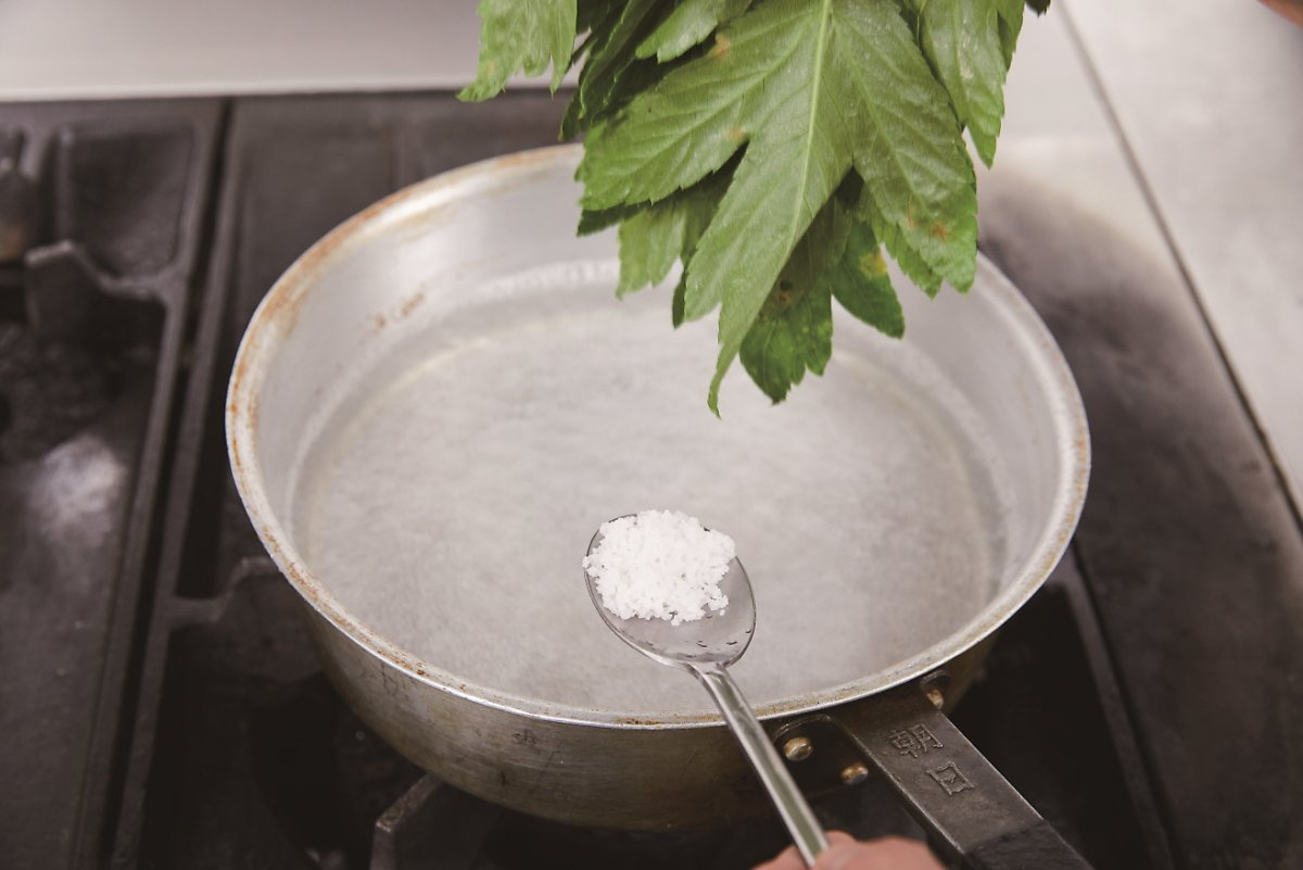 신선초 나물 효능부터 부작용, 안전한 먹는 법까지 한눈에 정리