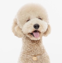 어린이날 선물 추천 best