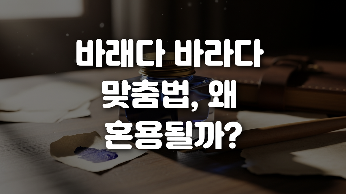 바래다 바라다 맞춤법 왜 혼용될까