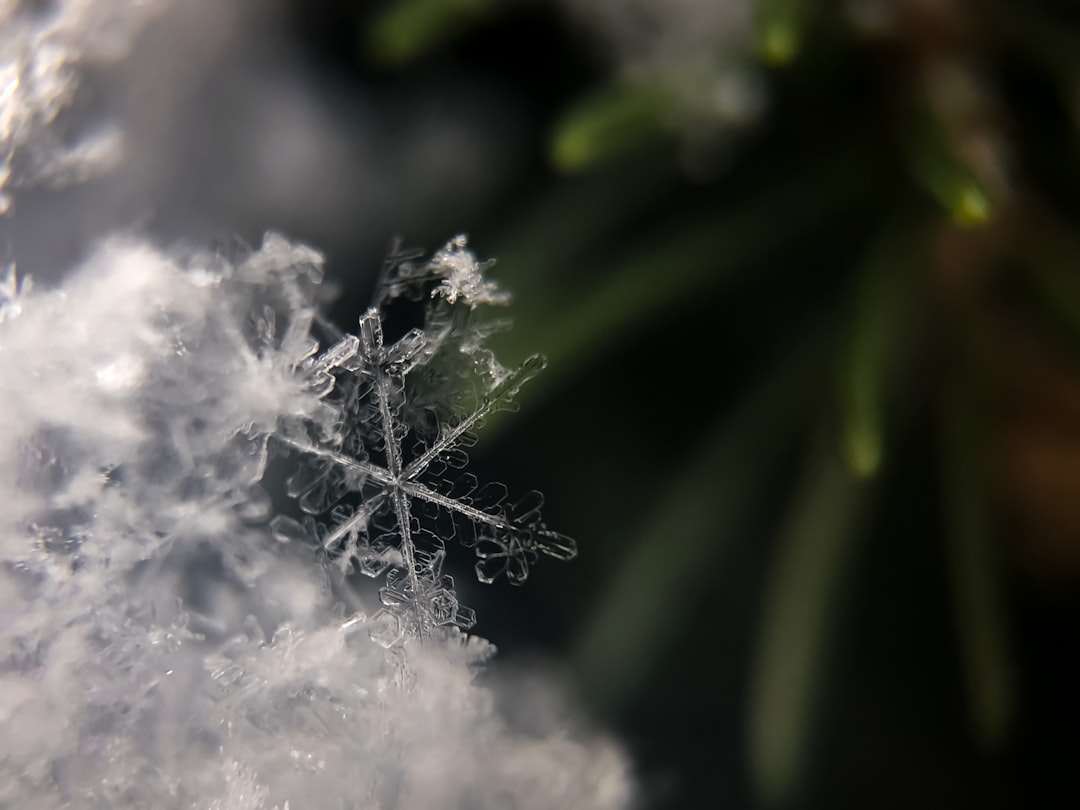 Cold