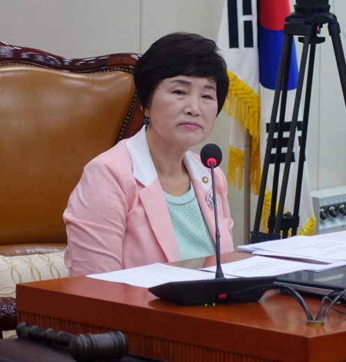 전혜숙 의원 민주당 탈당 배경