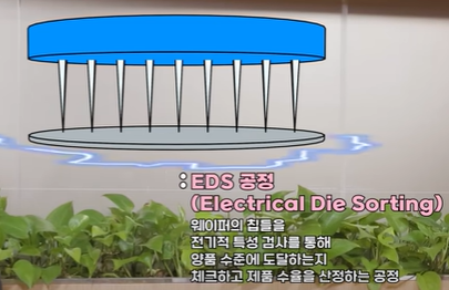EDS 공정 설명