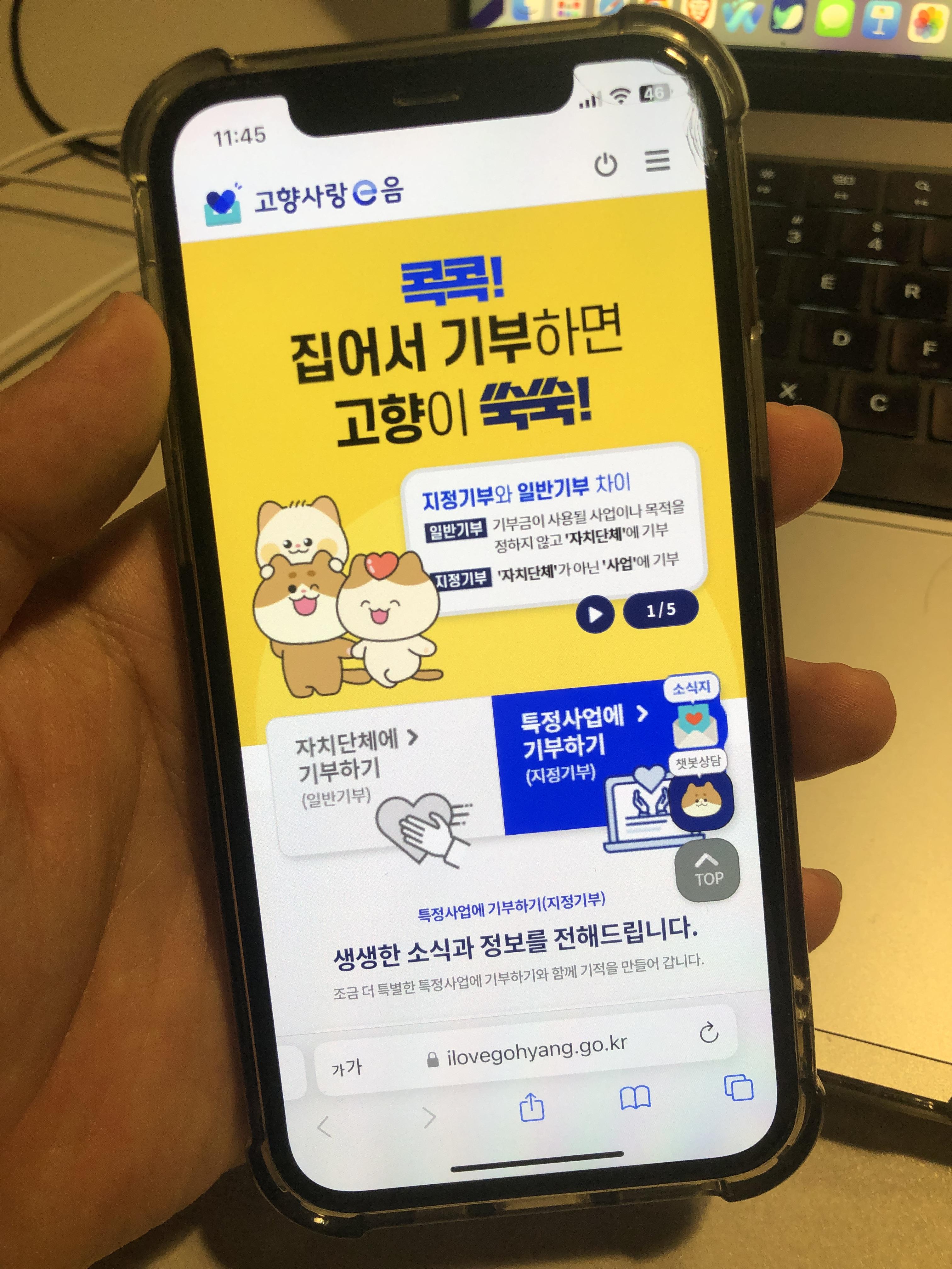 2024 고향사랑기부제 ❘ 연말정산 세액공제 답례품 혜택까지1