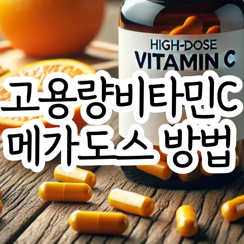 비타민C 메가도스 요법 효능 메가도스 방법 부작용