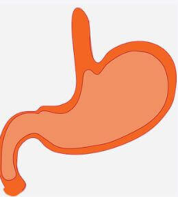 위내시경 물도 마시면 안되나요