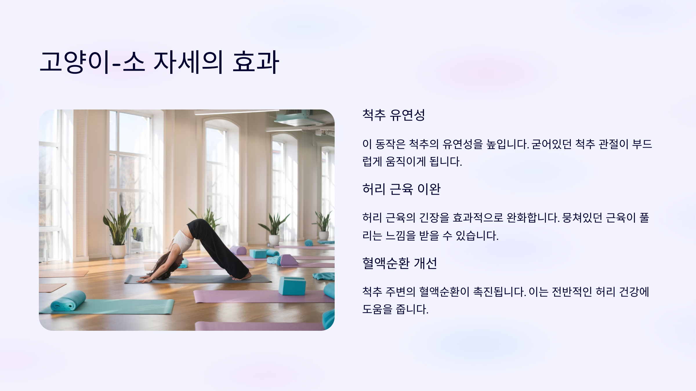 고양이-소 자세의 효과