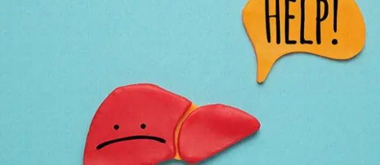 감마지티피-수치-상승-요인