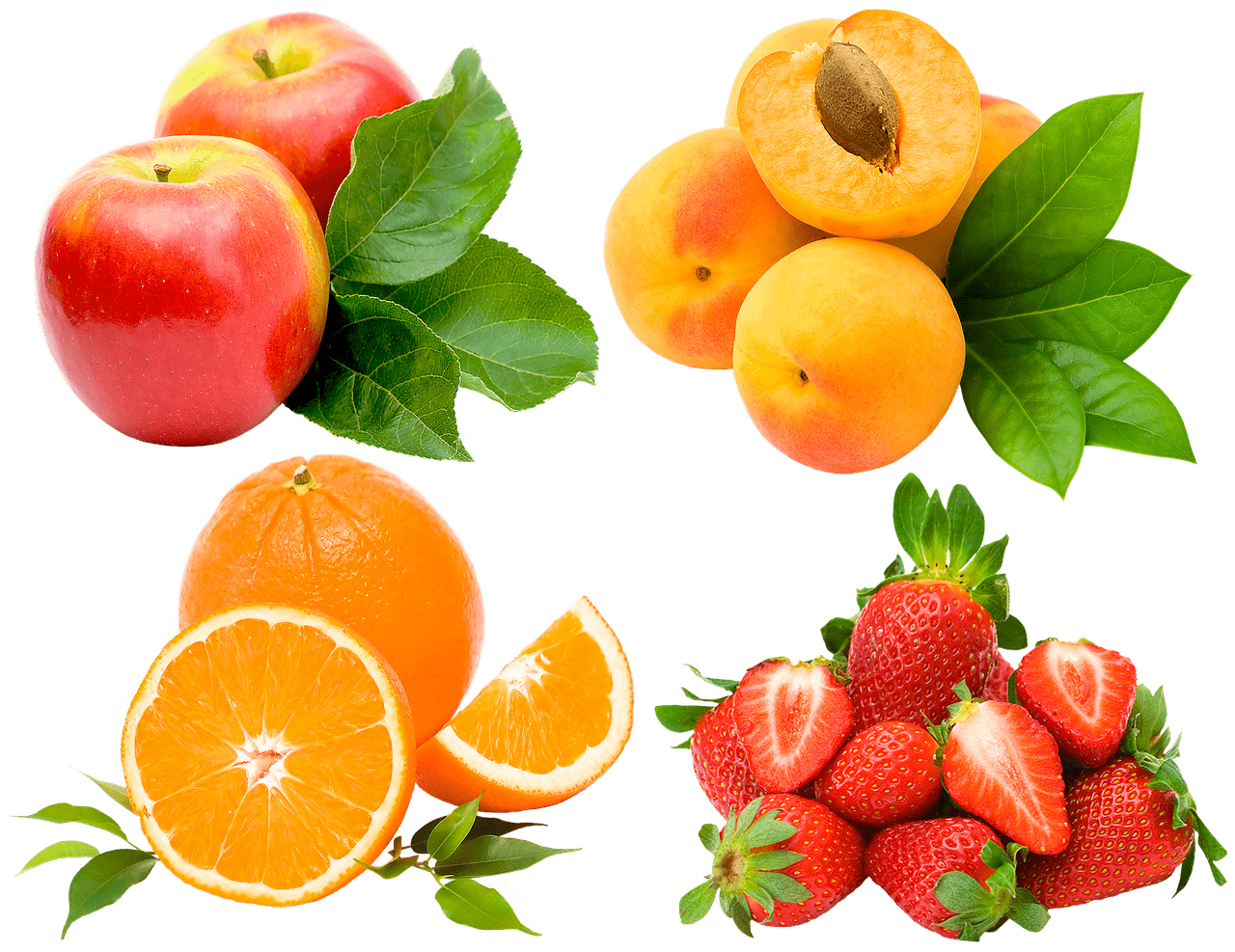 살구청 만들기 살구액 만드는법 효능 황금레시피