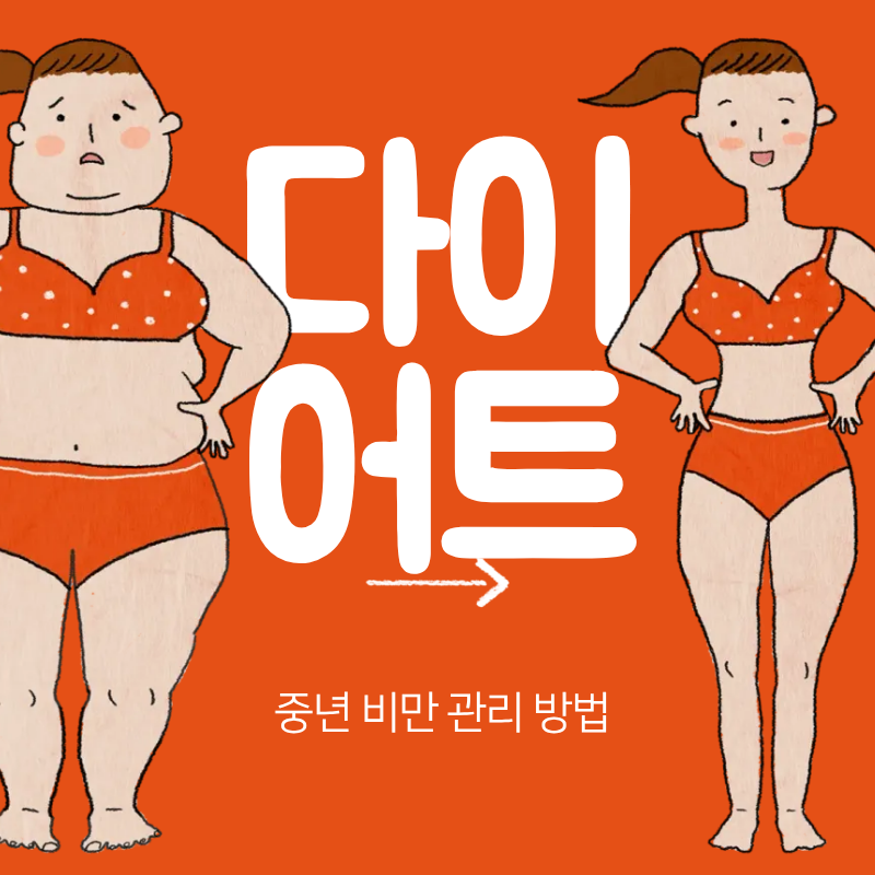 건강한 체중 감량 중년 비만 관리 방법
