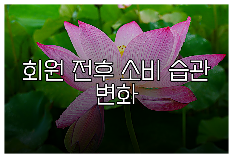 회원 전후 소비 습관 변화