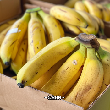 칼륨이 많은 과일과 채소