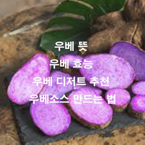 우베 뜻 우베 효능 우베 디저트 추천 우베소스 만드는 법