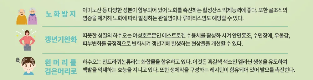 하수오 효능 탈모 흰머리