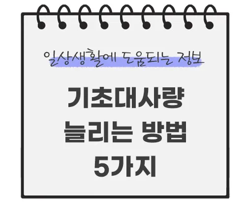 기초대사량-늘리는-방법