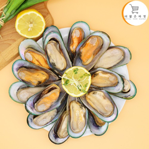 뉴질랜드 녹색 홍합