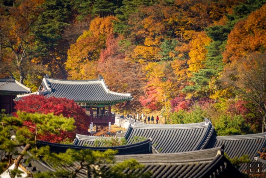 당일치기-단풍여행