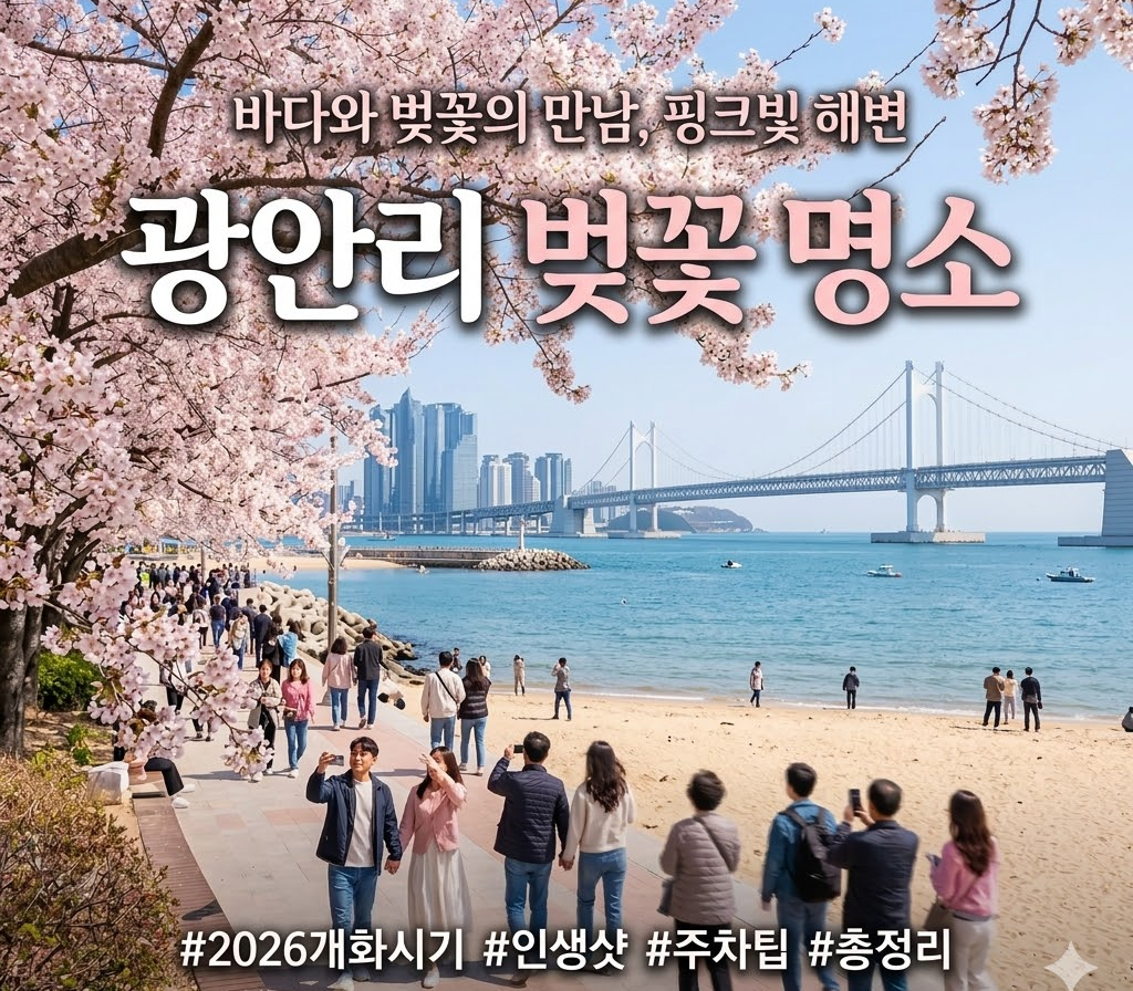 광안리 벚꽃 명소