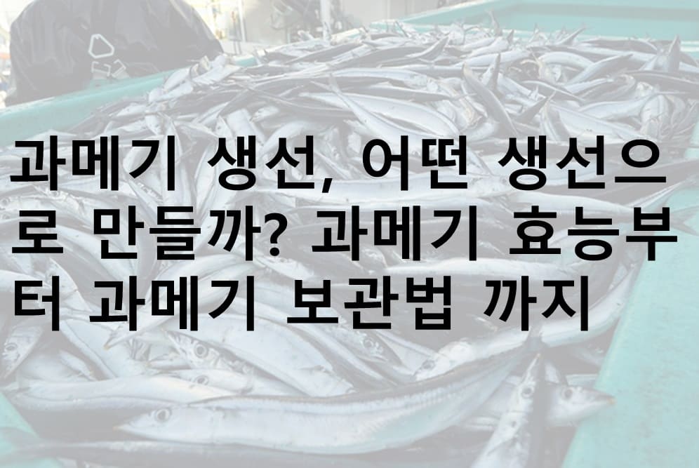 과메기 생선, 과메기 효능, 과메기 보관, 과메기 보관법, 과메기 술