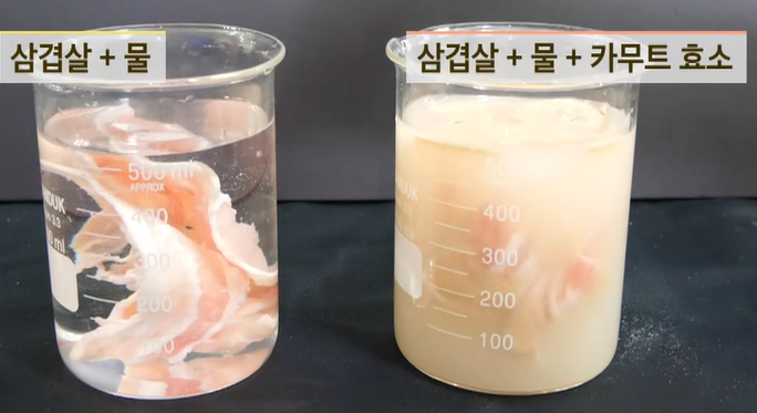 카무트 효소 효능