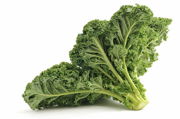 컬리케일 이미지