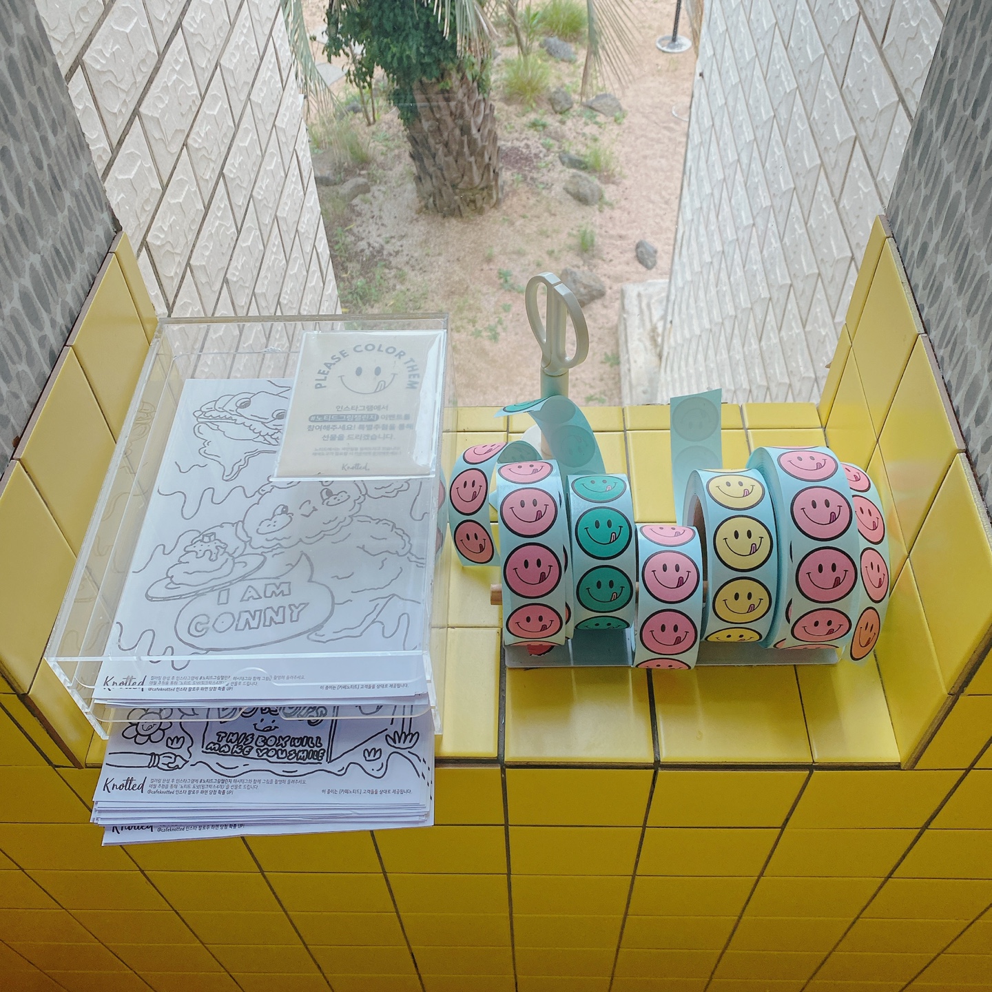 노티드 도넛 제주 애월 핫플레이스 우유크림 도넛 Knotted JEJU