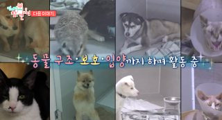 이강태 프로필 전참시 이강태 유튜버 포켓멍센터