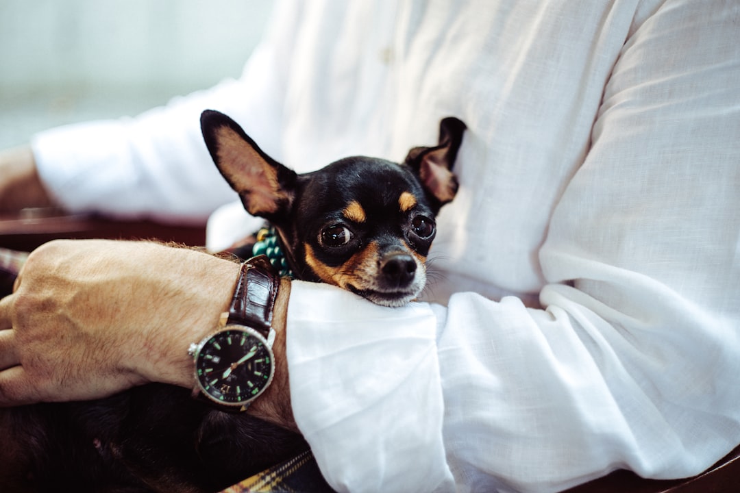 Pet supplies