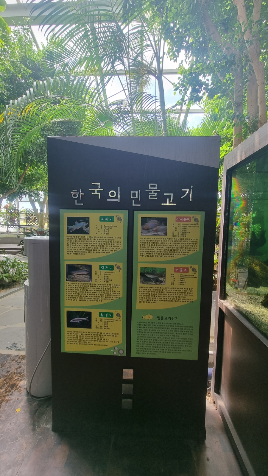 민물고기