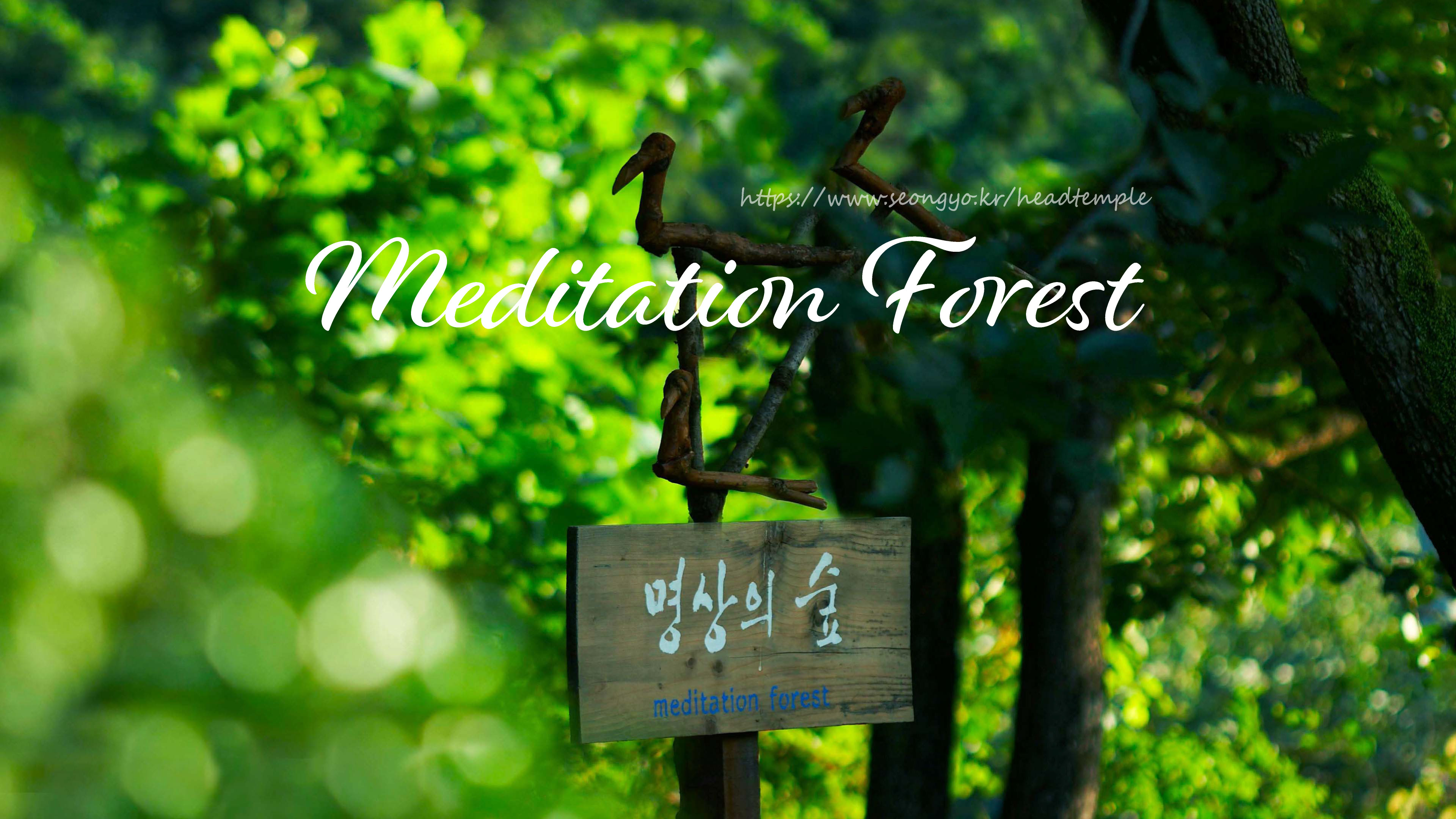 선교총림 선림원, 명상의 숲