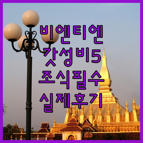 비엔티엔 가성비 숙소 베스트 5 위치..