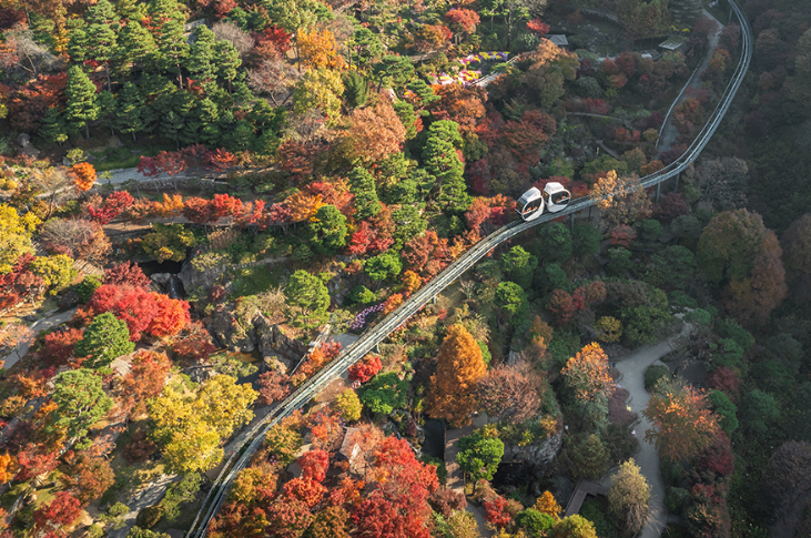 10월 화담숲 예약 방법