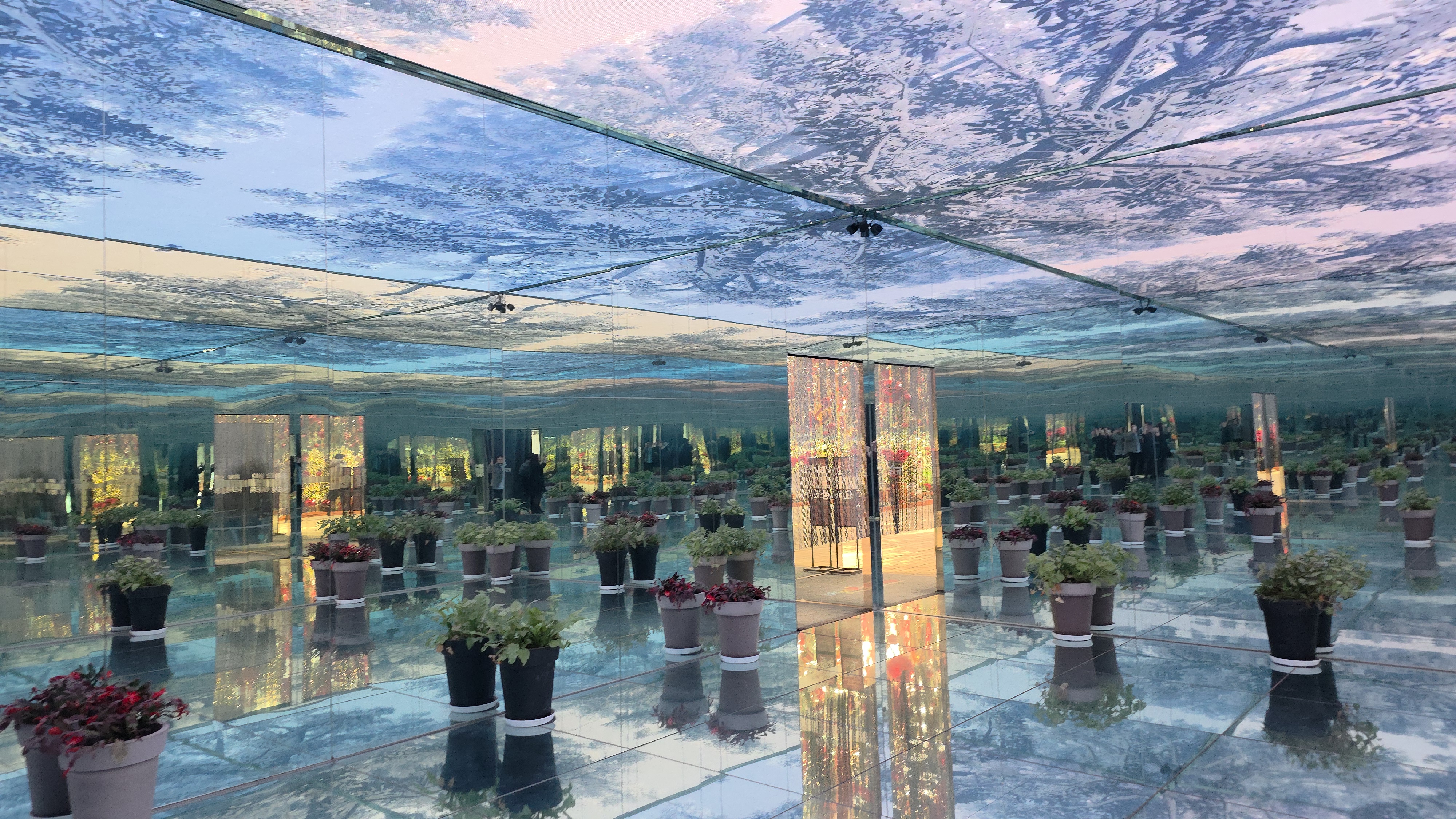 베고니아 정원 in 가평